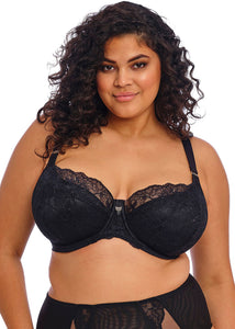 Elomi Brianna Padded Half Cup Bra