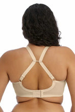 Load image into Gallery viewer, Elomi Energise Sports Bra

